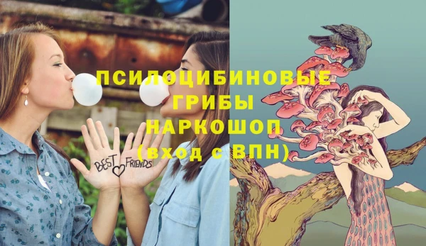 твердый Вязники