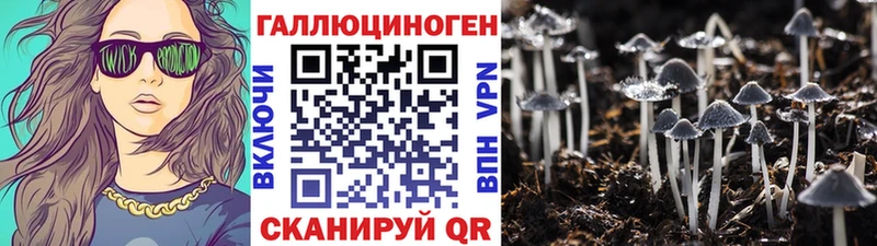 Галлюциногенные грибы Magic Shrooms  Купить где  Красноуфимск 